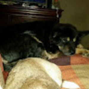 Meet your Posher, Chuck and valerie